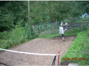 prdl 2010 2