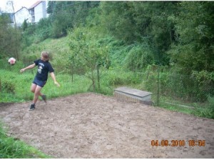 prdl 2010 3