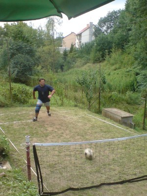 prdl 2011 3